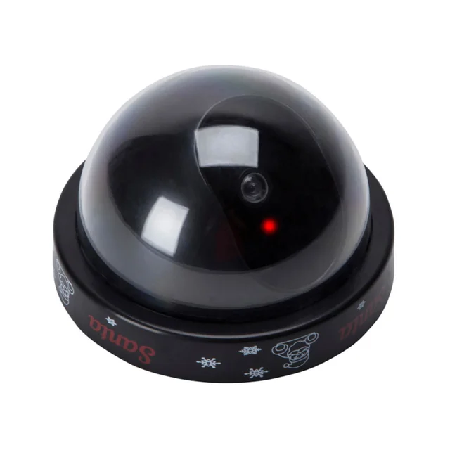 Dummy Santa Camera