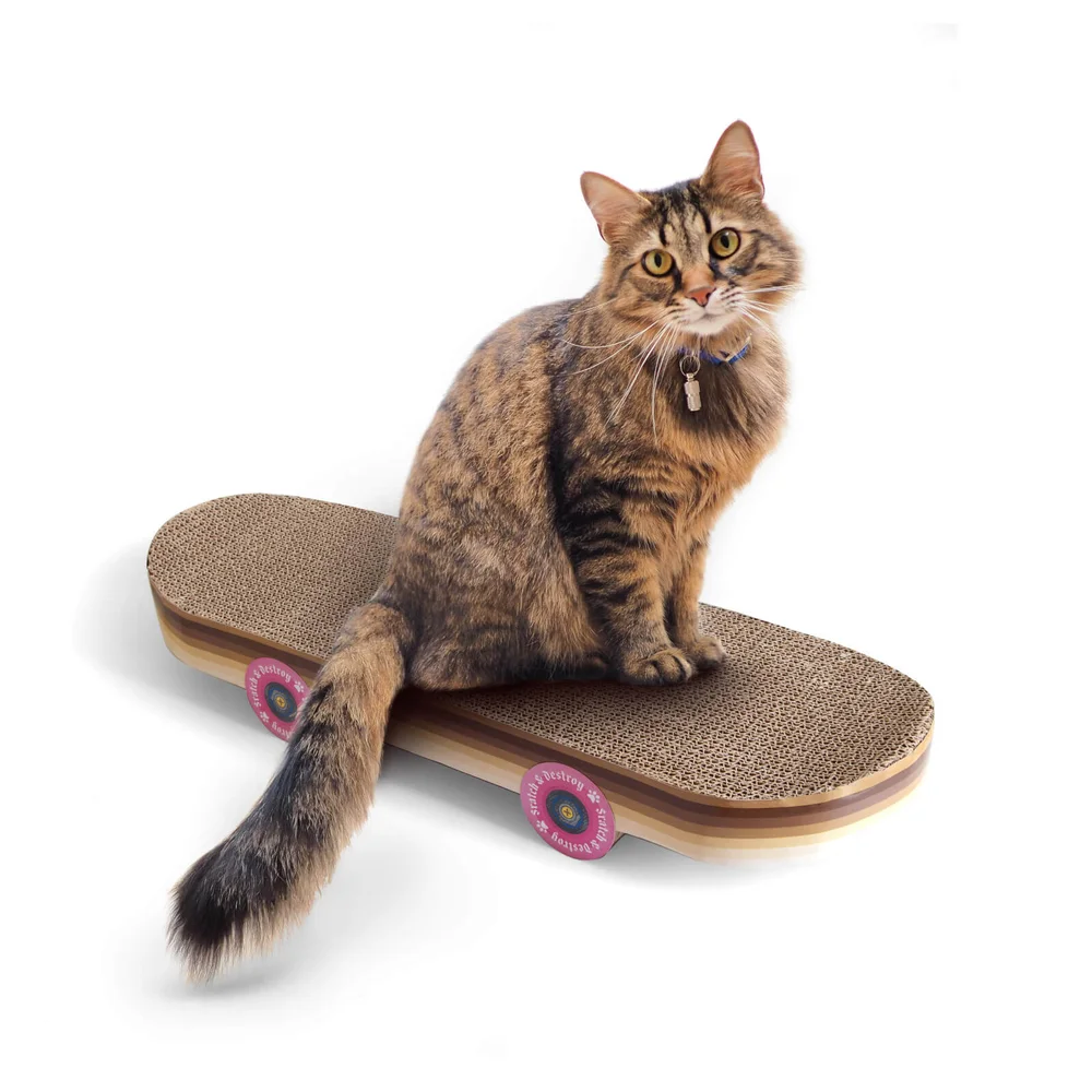 CAT SCRATCH SKATEBOARD Image 1