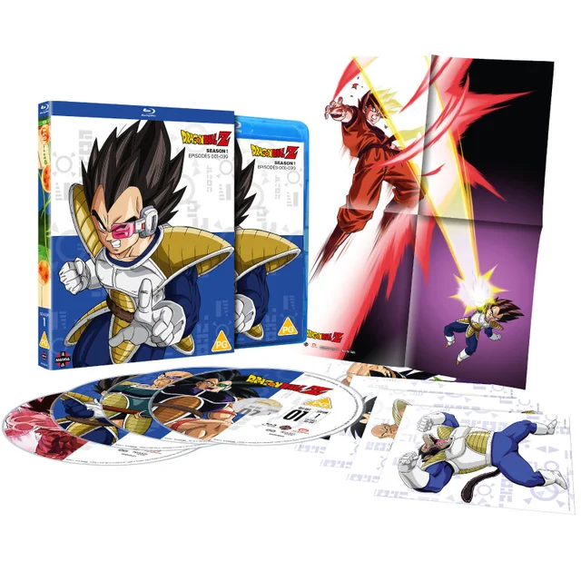 Dragon Ball Z : Saison 1