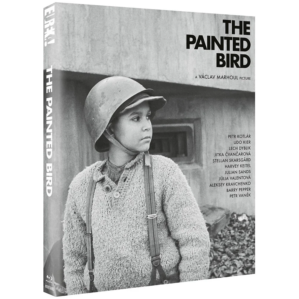 The Painted Bird Image 1