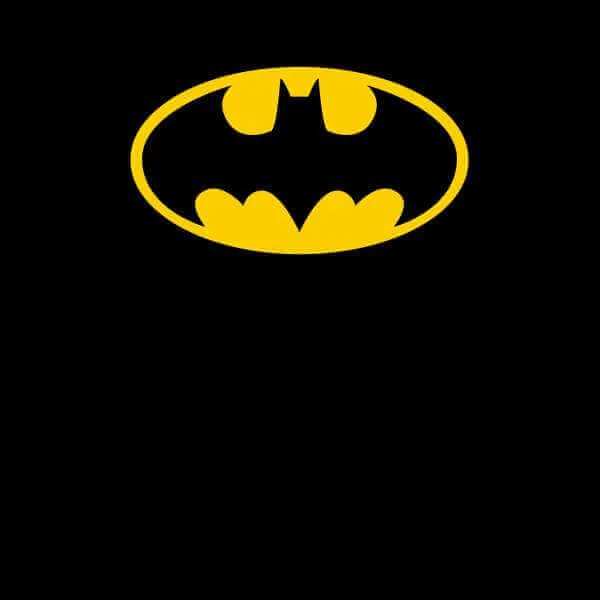 Lot DC Comics T-shirt + Buste Eaglemoss Batman