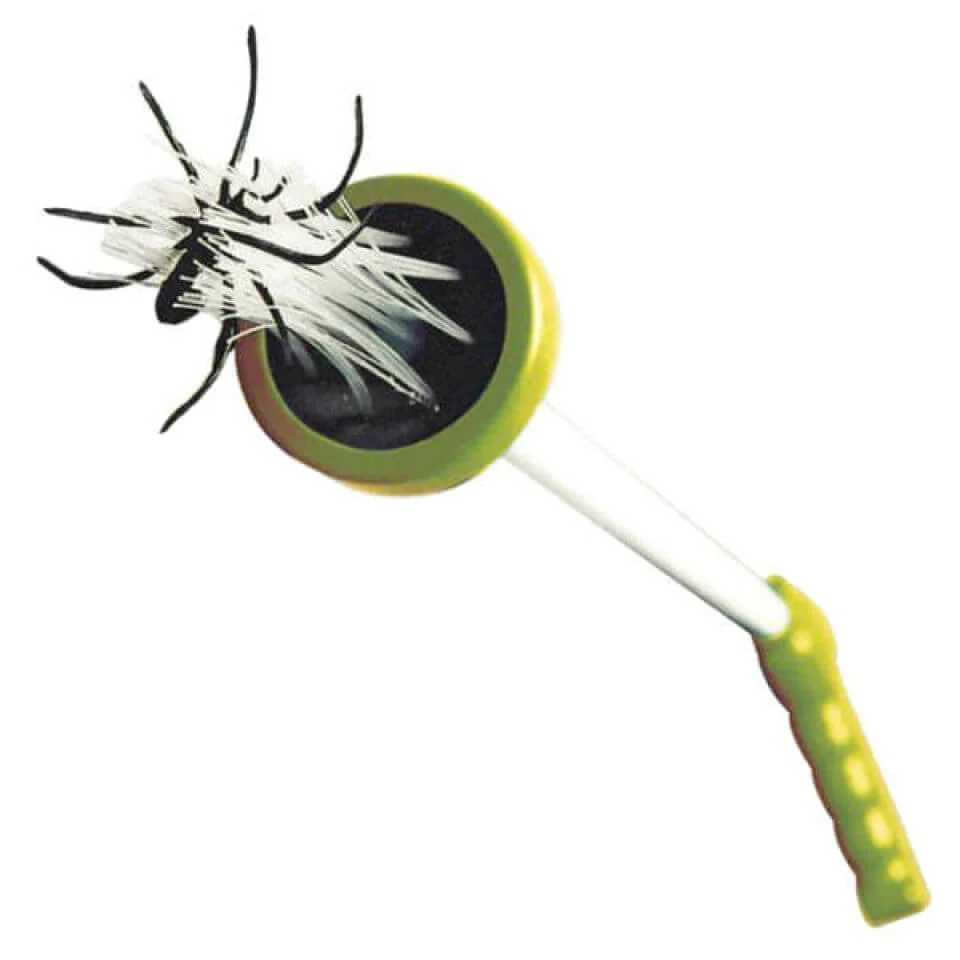 Attrape - Araignées Image 1