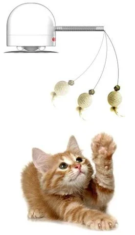 Frolicat Twitch Image 1