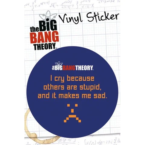 The Big Bang Theory Stupid - Vinyl Sticker - 10 x 15cm Image 1