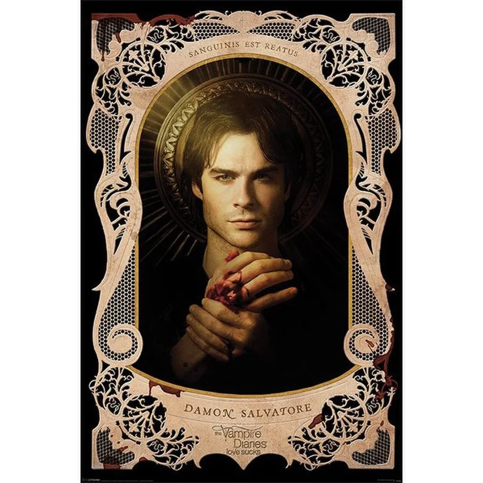 Vampire Diaries Damon Salvatore - 24 x 36 Inches Maxi Poster Image 1