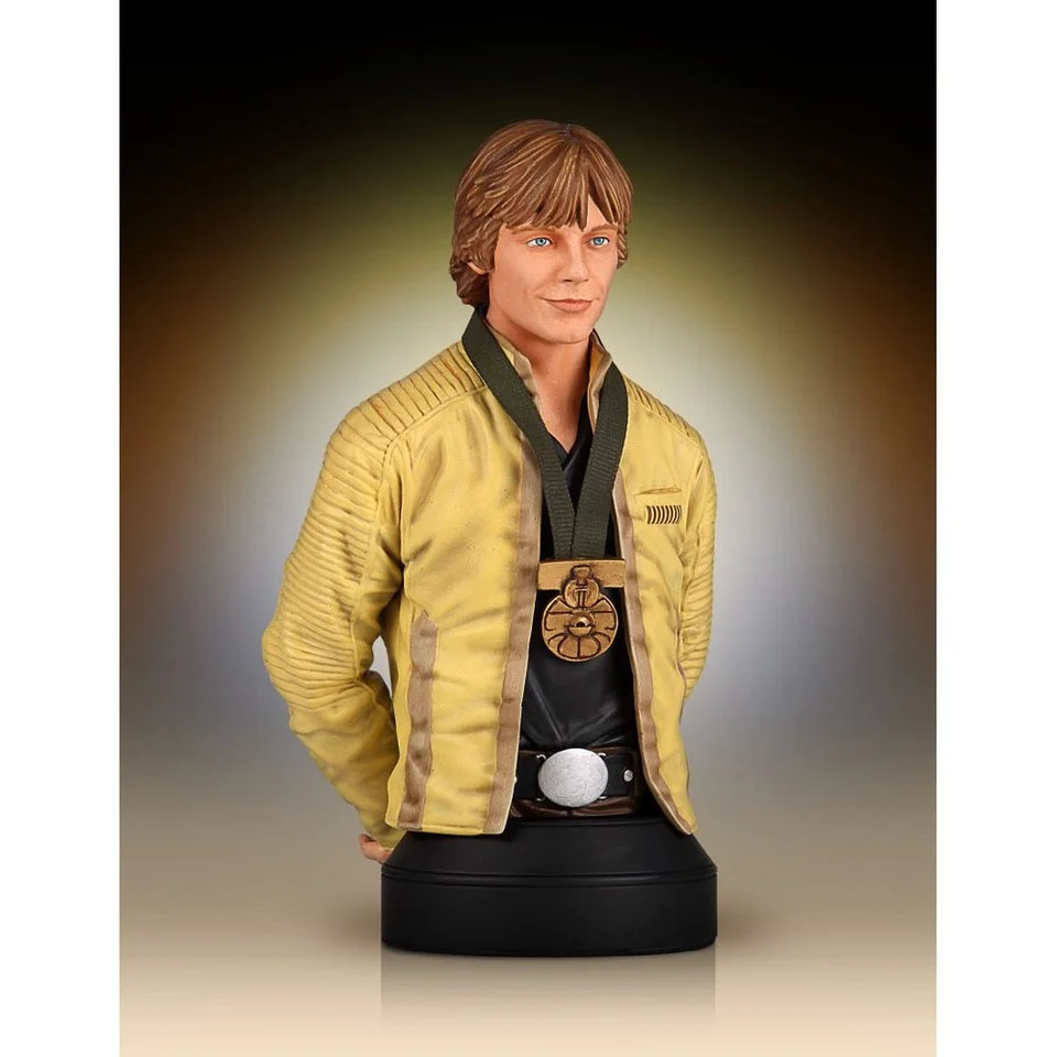 Buste Luke Skywalker Star Wars 1:6 Image 1