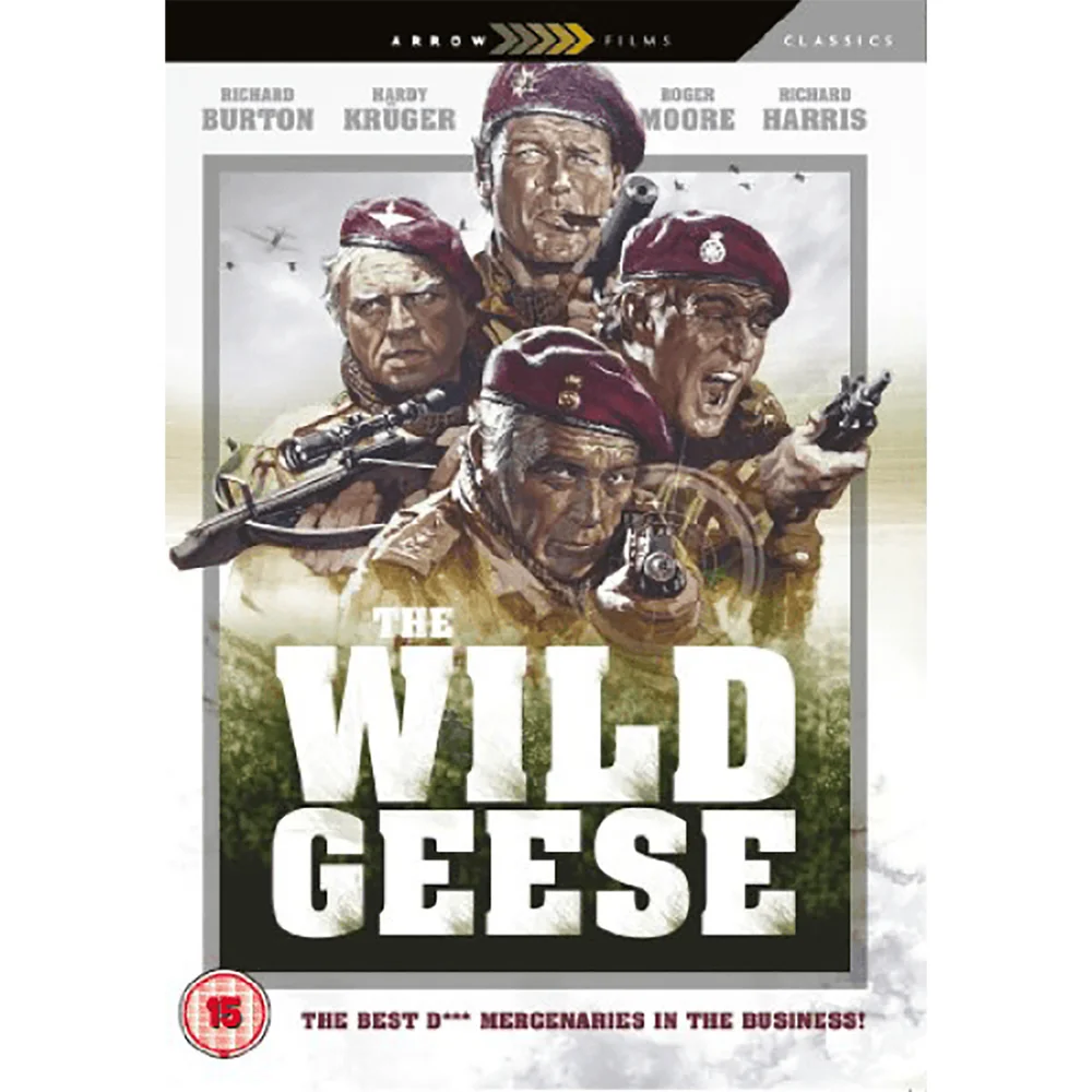 Wild Geese Image 1