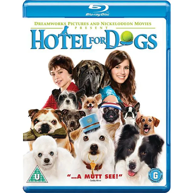 Hôtel pour chiens