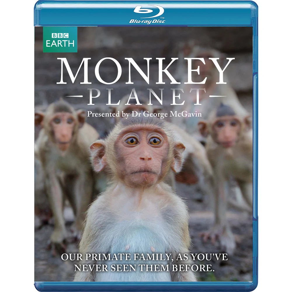Planète des singes Image 1
