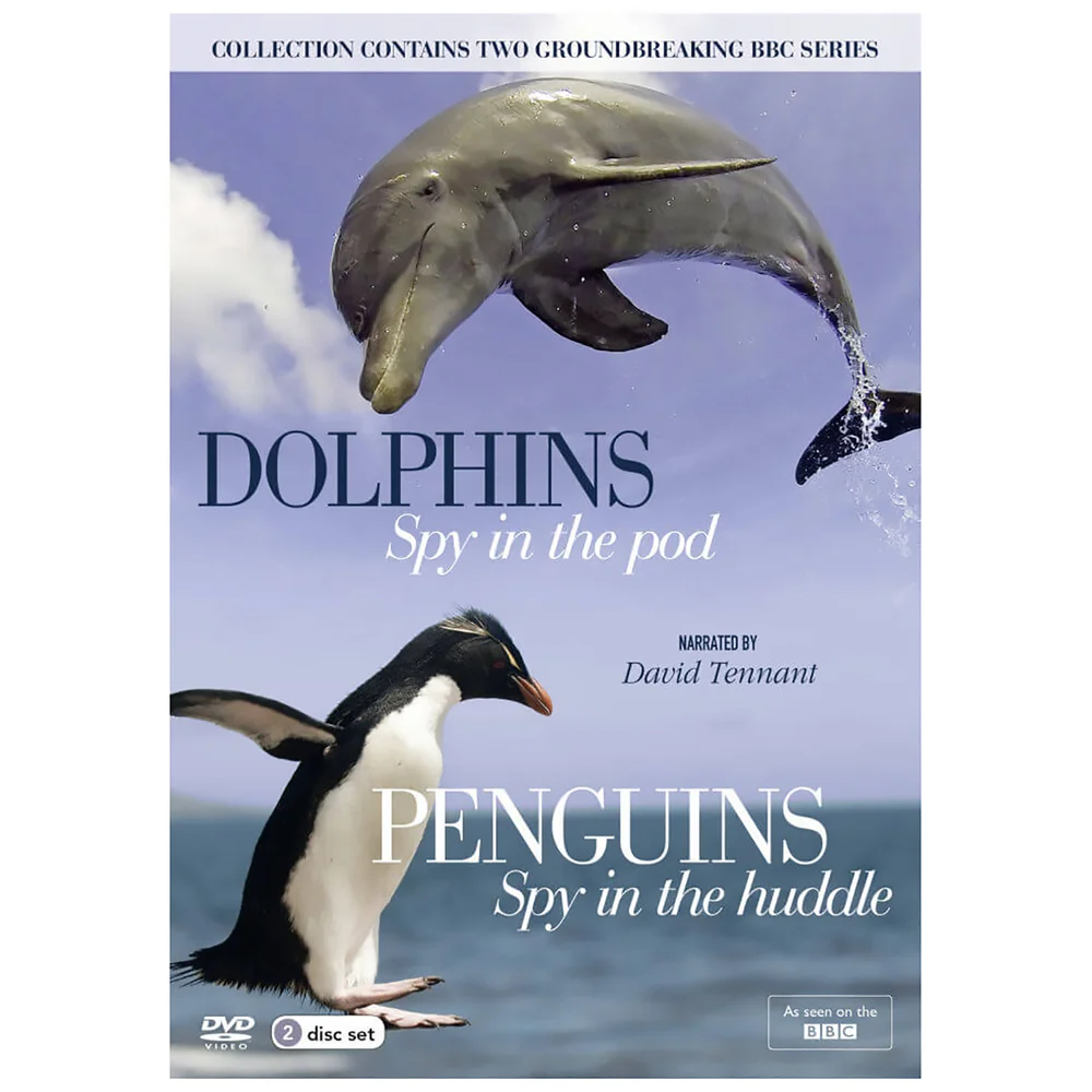 Pingouins et dauphins - La collection Spy Image 1