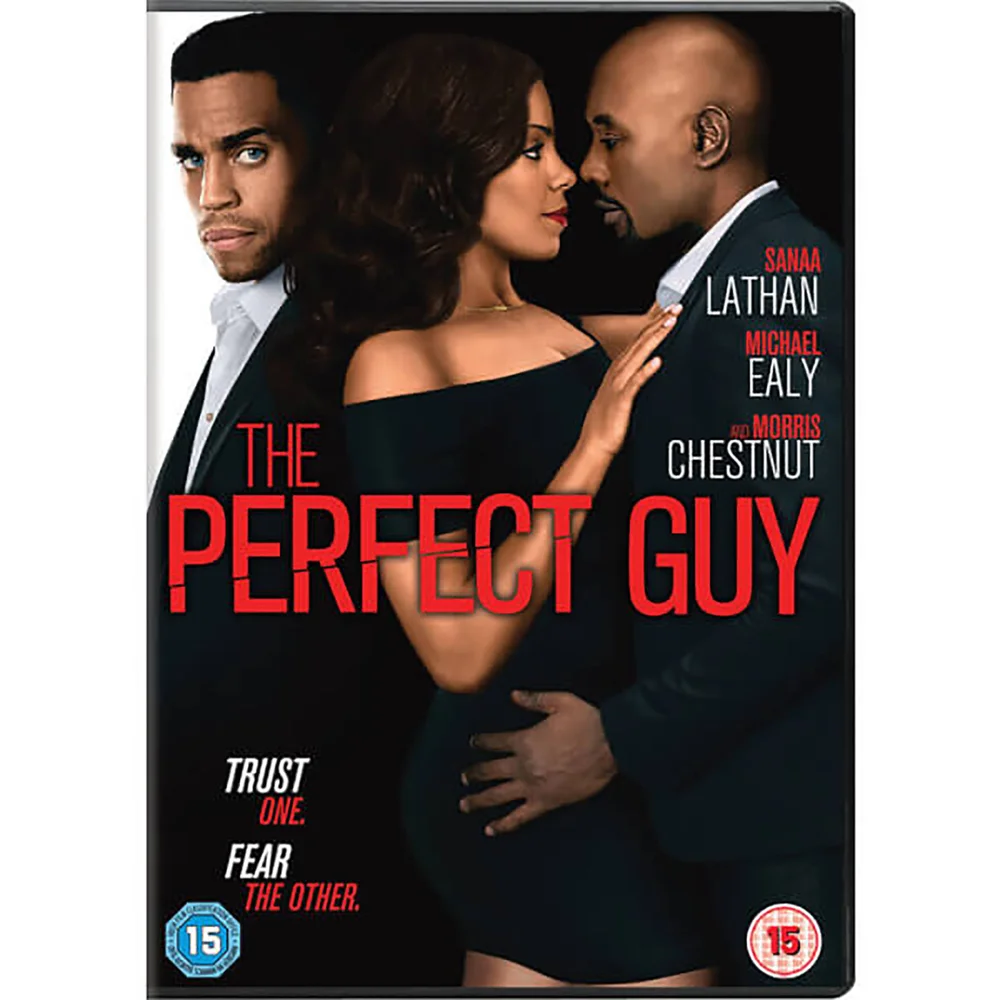 The Perfect Guy Image 1