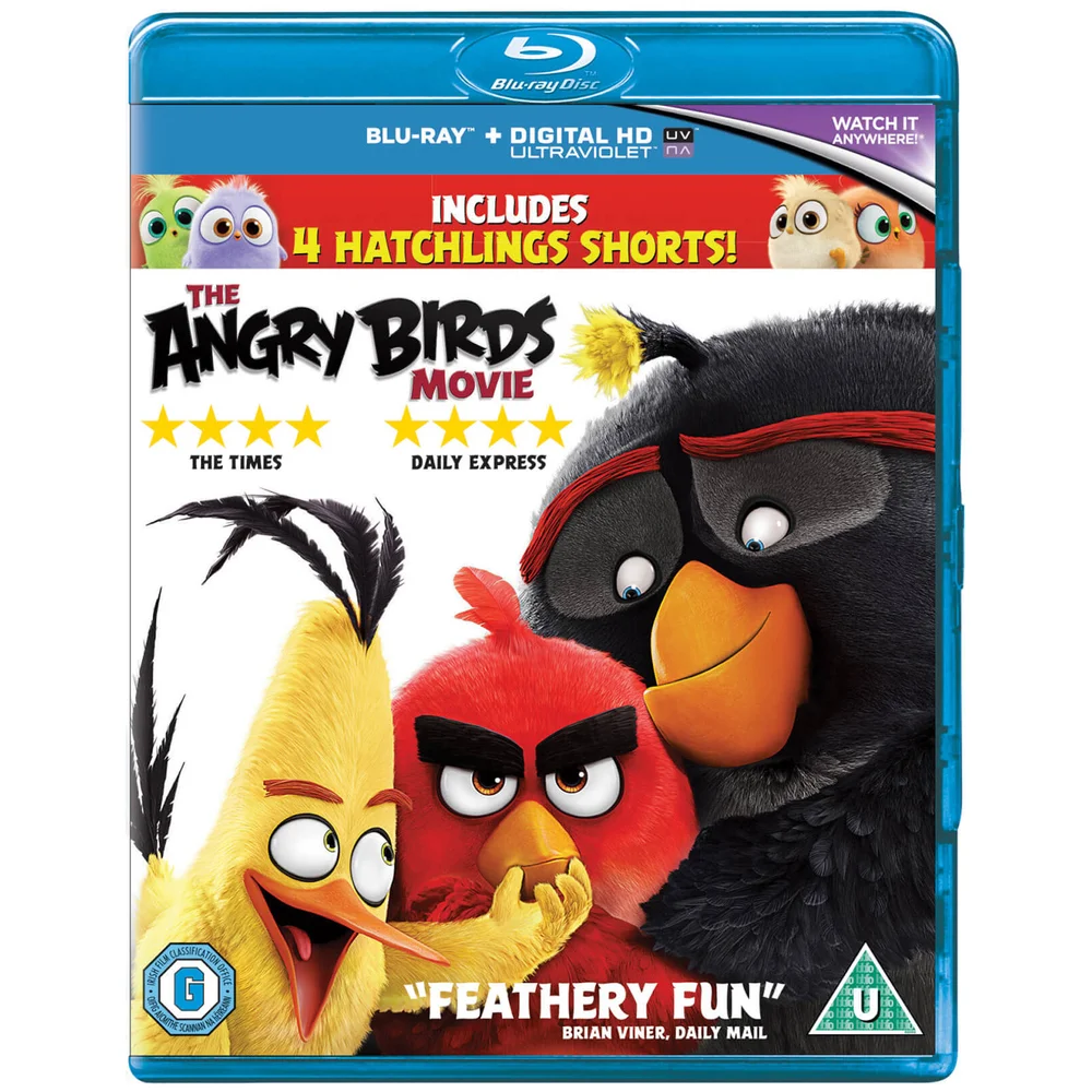 Angry Birds, le film Image 1