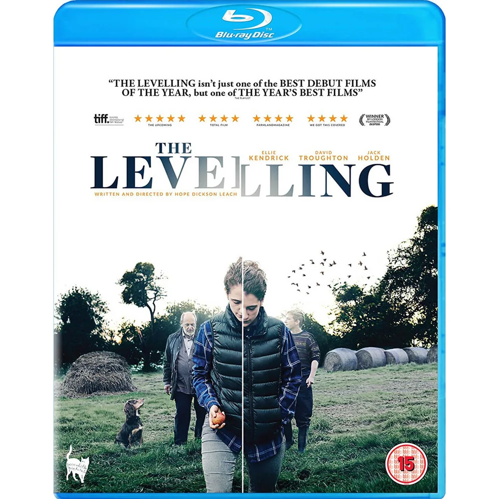 The Levelling Image 1