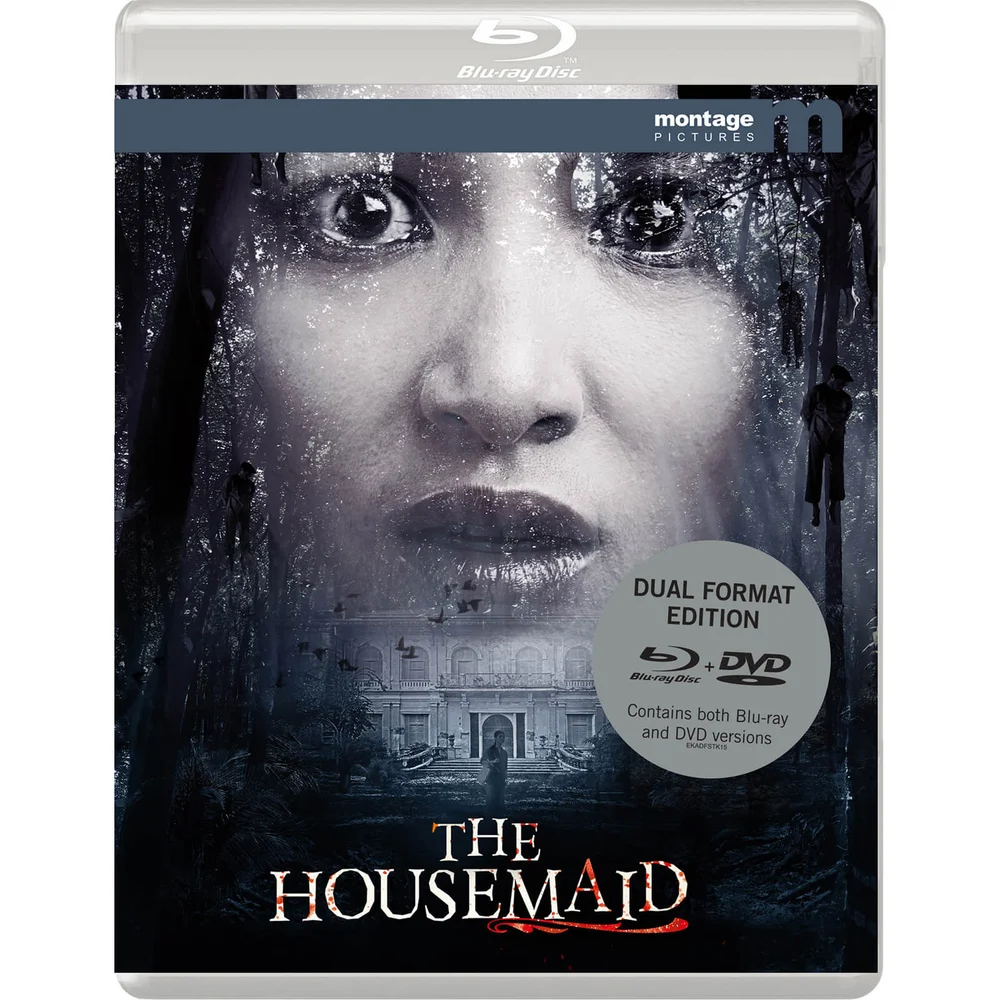 The Housemaid - Format Double Image 1