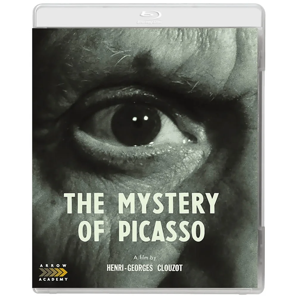 Le mystère de Picasso Image 1