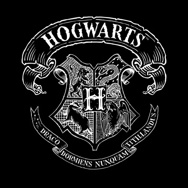 T-Shirt Homme Blason de Poudlard - Harry Potter - Noir