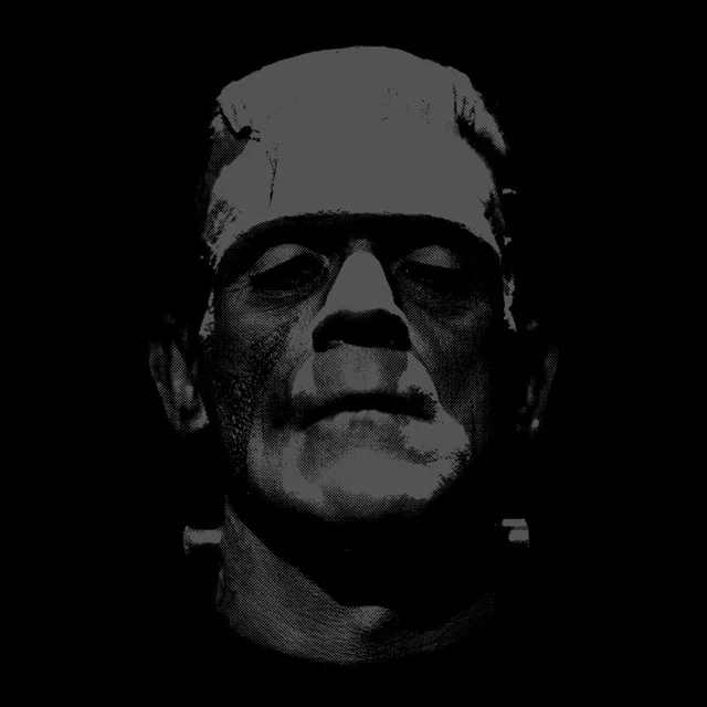 T-Shirt Homme Frankenstein (Noir et Blanc) - Universal Monsters - Noir