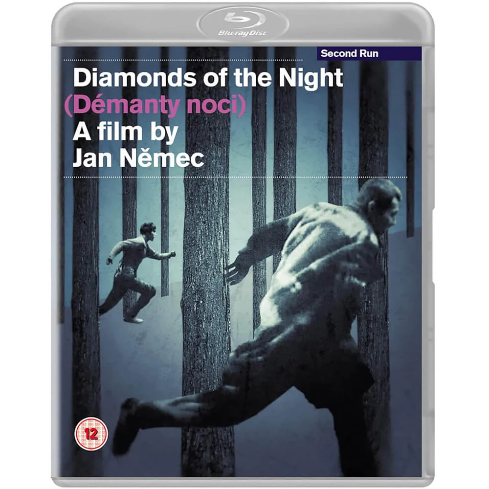 Les Diamants de la nuit Image 1