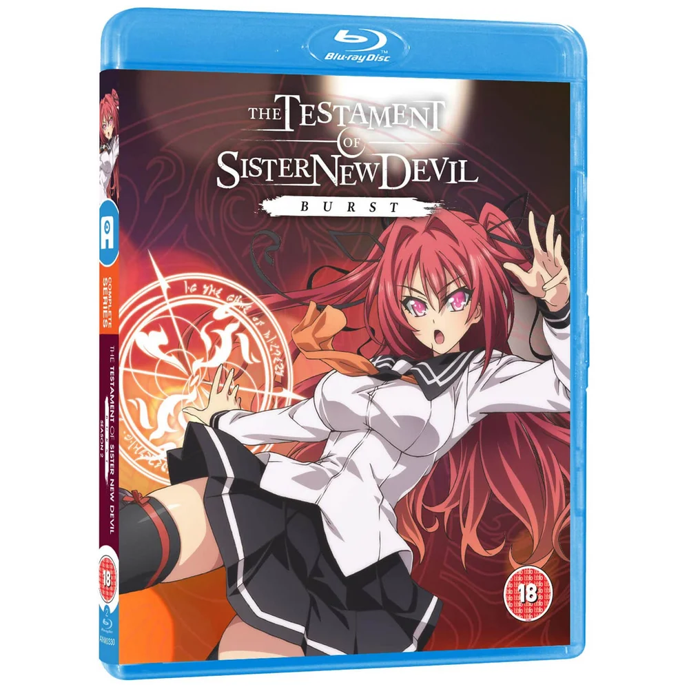 Buste The Testament of Sister New Devil Burst Image 1