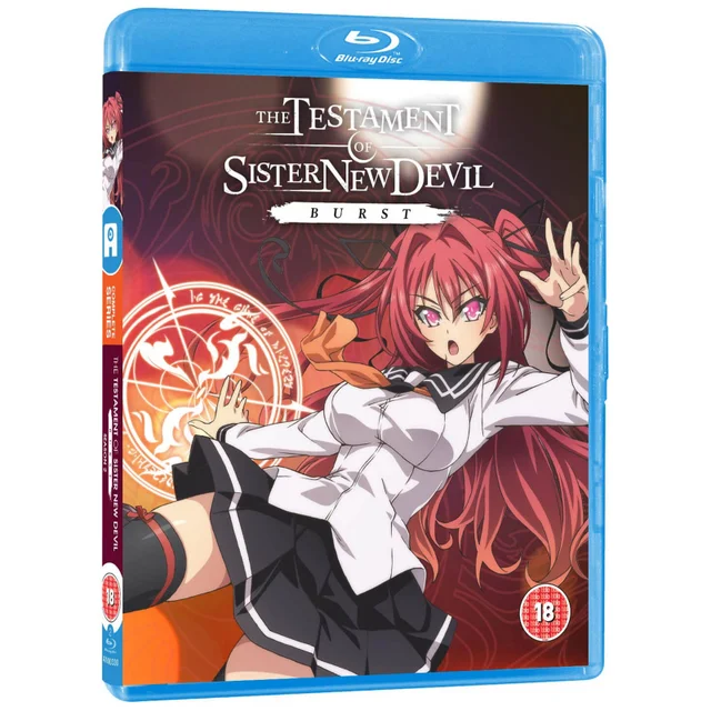 Buste The Testament of Sister New Devil Burst