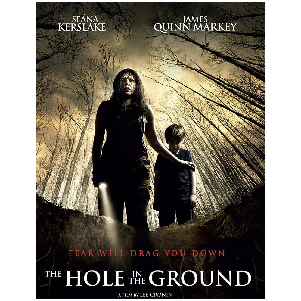 The Hole in the Ground Image 1