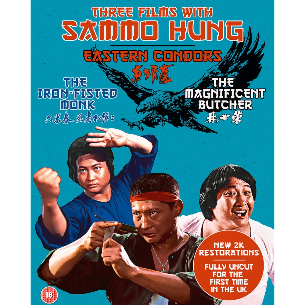 Trois films avec Sammo Hung : Le Moine d'Acier / Le Héros magnifique / Eastern Condors Image 1