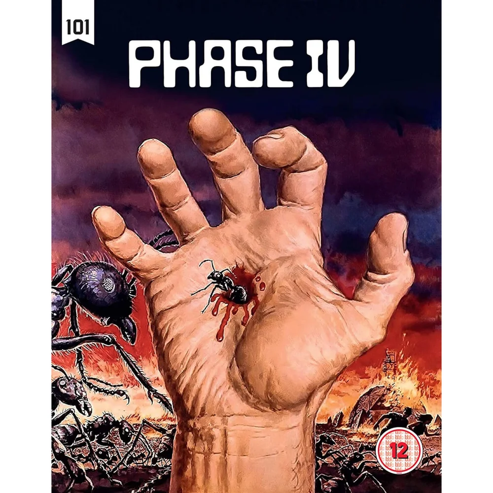 Phase IV Image 1