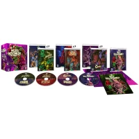 Weird Wisconsin : Collection Bill Rebane - Édition limitée