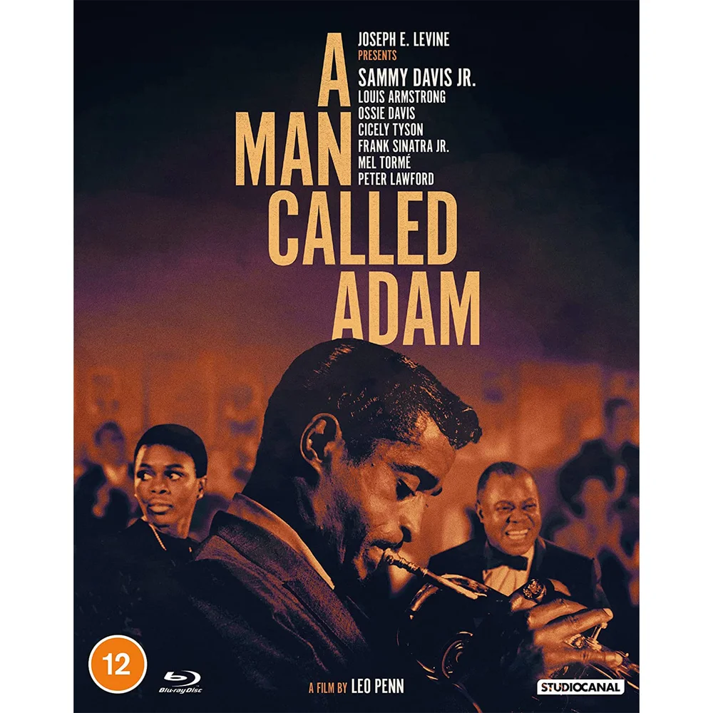 A Man Called Adam Image 1