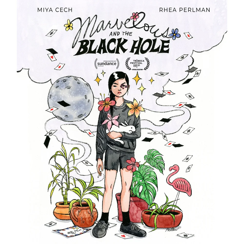 Marvelous and the Black Hole (US Import) Image 1