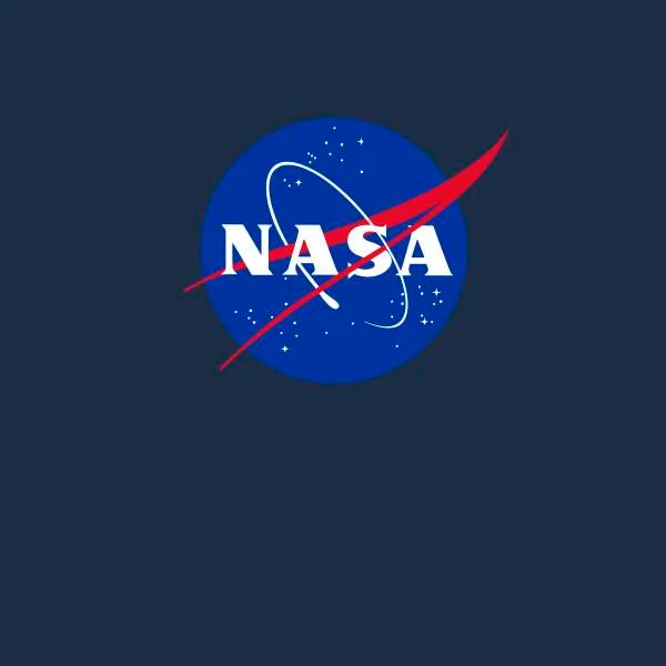 NASA Logo Insignia Hoodie - Navy