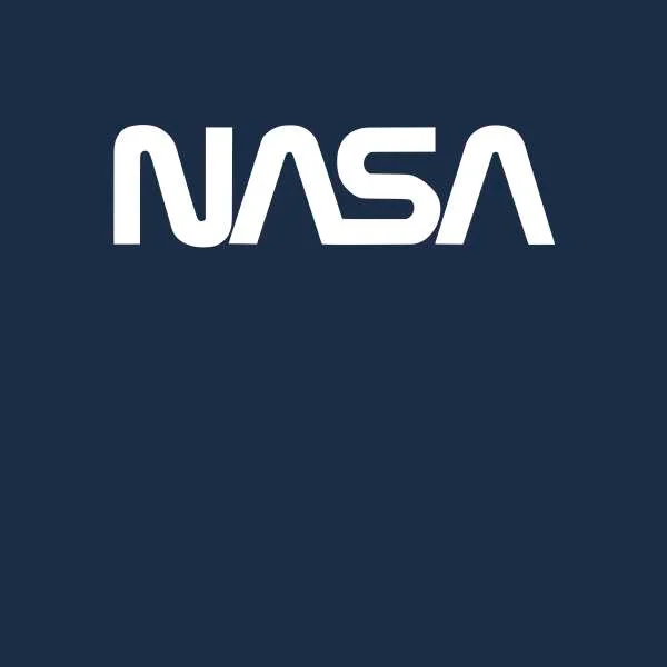NASA Worm Logotype Hoodie - Navy