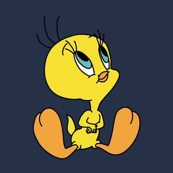 Looney Tunes Tweety Sitting Hoodie - Navy