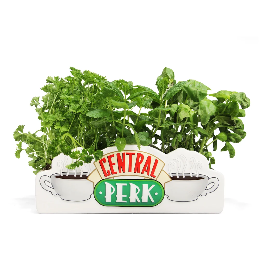 Friends Central Perk Table Top Vase Image 1