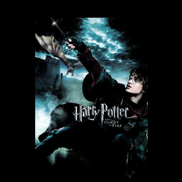 Harry Potter Goblet Of Fire Hoodie - Black