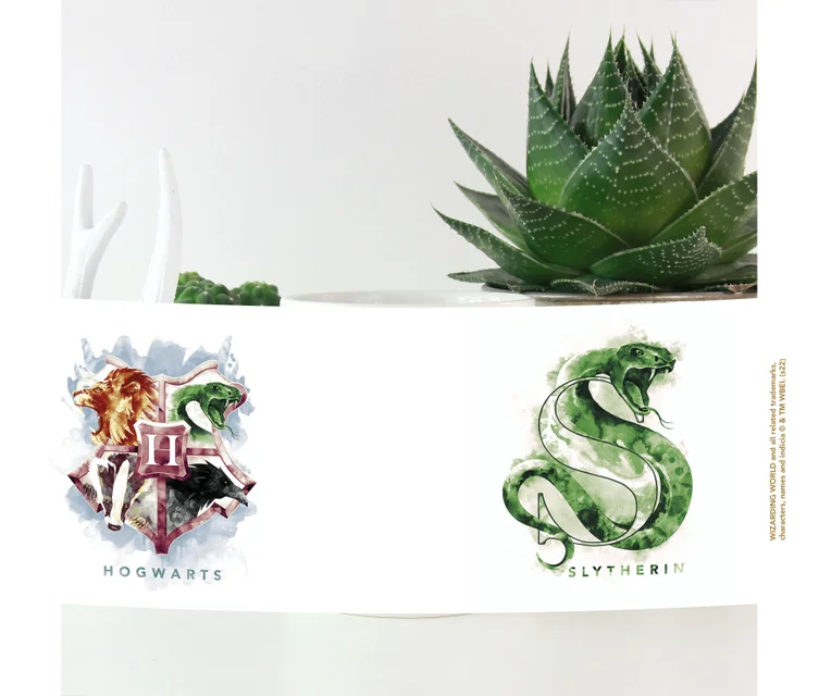 Harry Potter Slytherin Mug