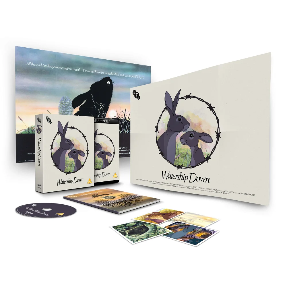La folle escapade 4K Ultra HD (Blu-ray inclus) Image 1