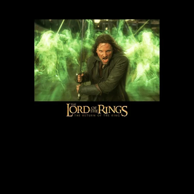 Le Seigneur des Anneaux T-Shirt Hommes Aragorn - Noir