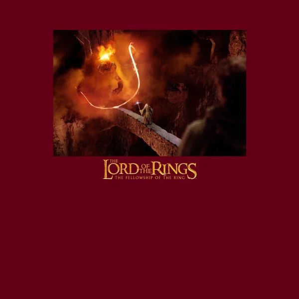 Le Seigneur des Anneaux Vous Ne Passerez Pas T-Shirt Femme - Bordeaux