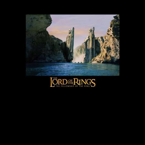 Lord Of The Rings Argonath Hoodie - Black