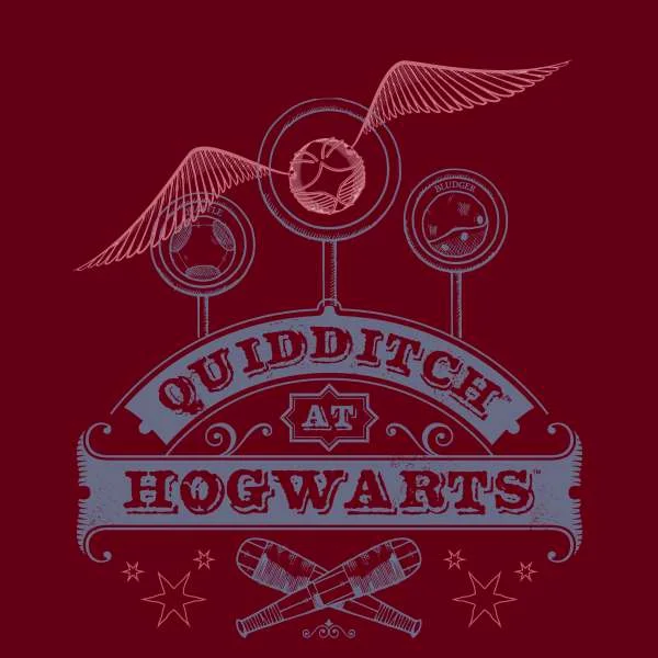 Harry Potter Quidditch At Hogwarts Hoodie - Burgundy