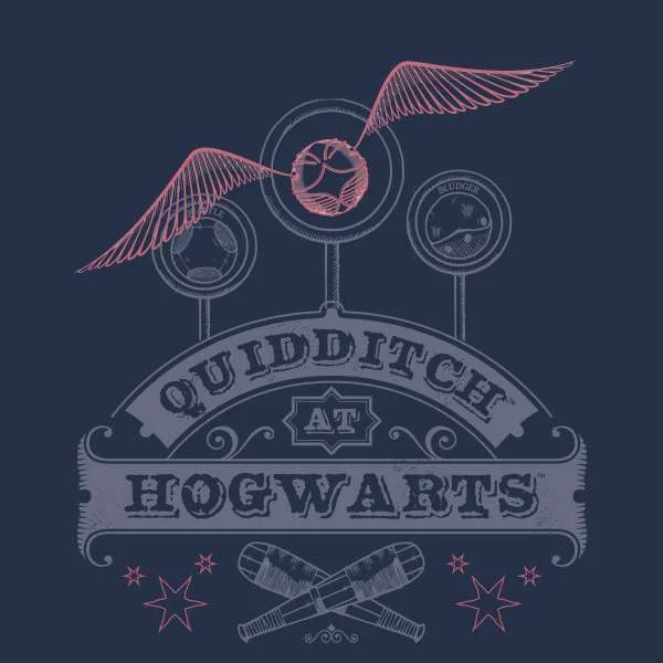 Harry Potter Quidditch At Hogwarts Men's T-Shirt - Navy