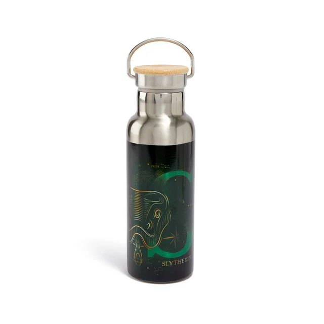 Akedo x Harry Potter Houses Slytherin Water Bottle