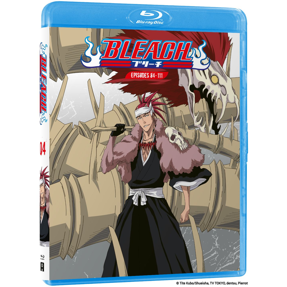 Bleach Vol 4 Image 1