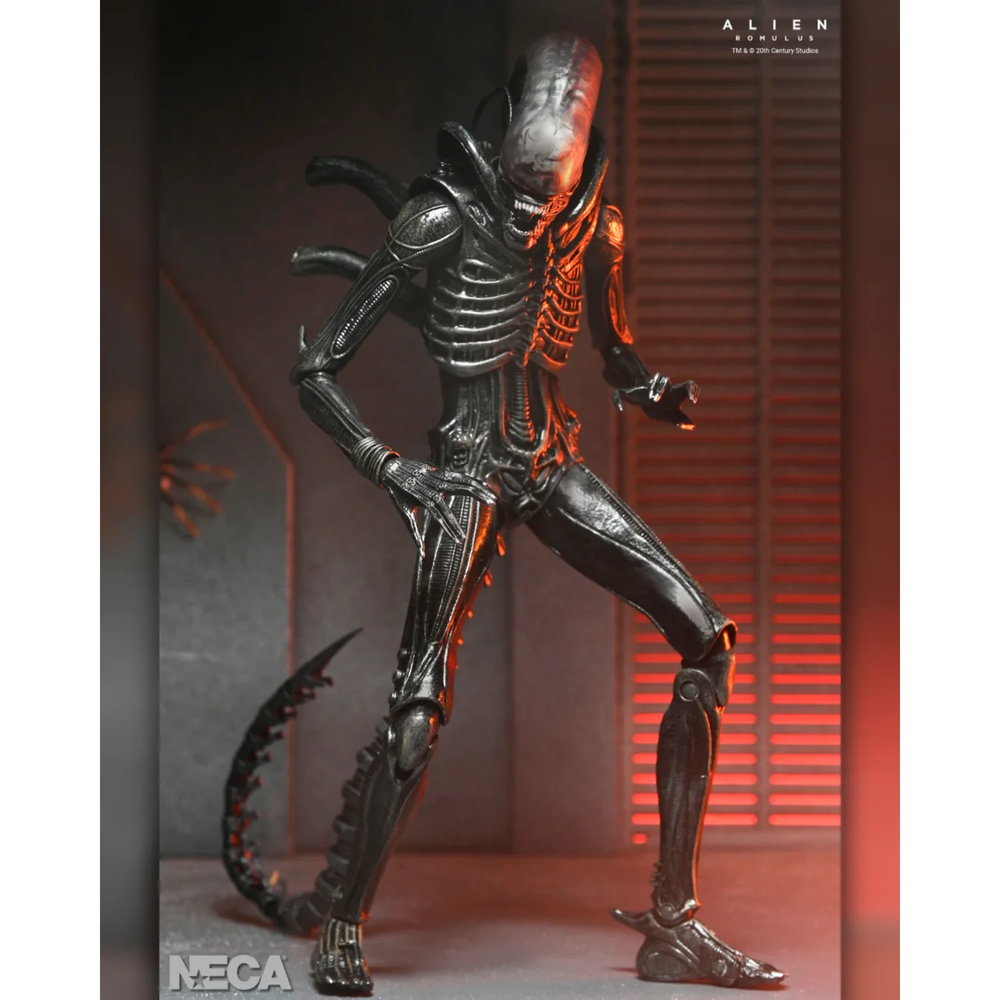NECA - ALIEN: ROMULUS XENOMORPH XX121 ULTIMATE 7 INCH SCALE ACTION FIGURE Image 1