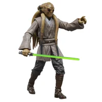 Hasbro Star Wars The Black Series Kit Fisto, Star Wars: Revenge of the Sith Action Figure (15 cm)