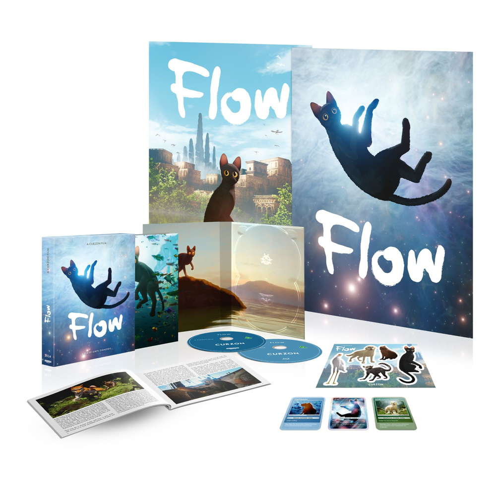 Flow Limited Edition 4K Ultra HD (includes Blu-ray) Image 1