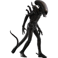 Hot Toys 1/6 Big Chap - Alien
