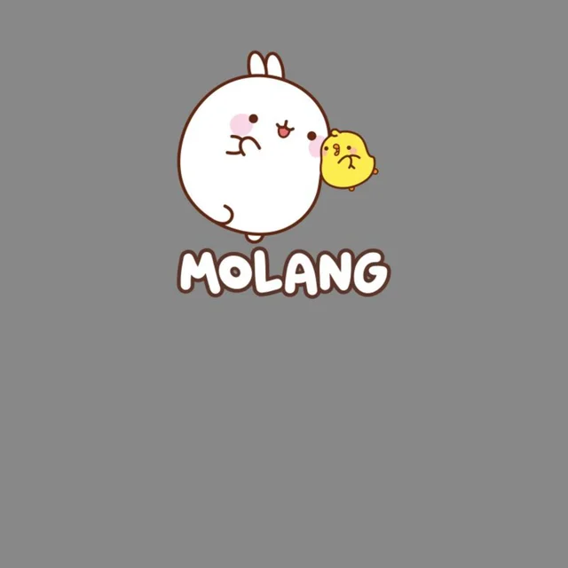 Molang And Pui Pui Unisex T-Shirt - Grey