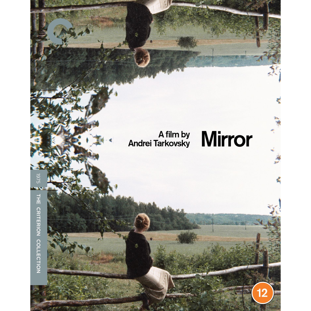The Mirror Image 1